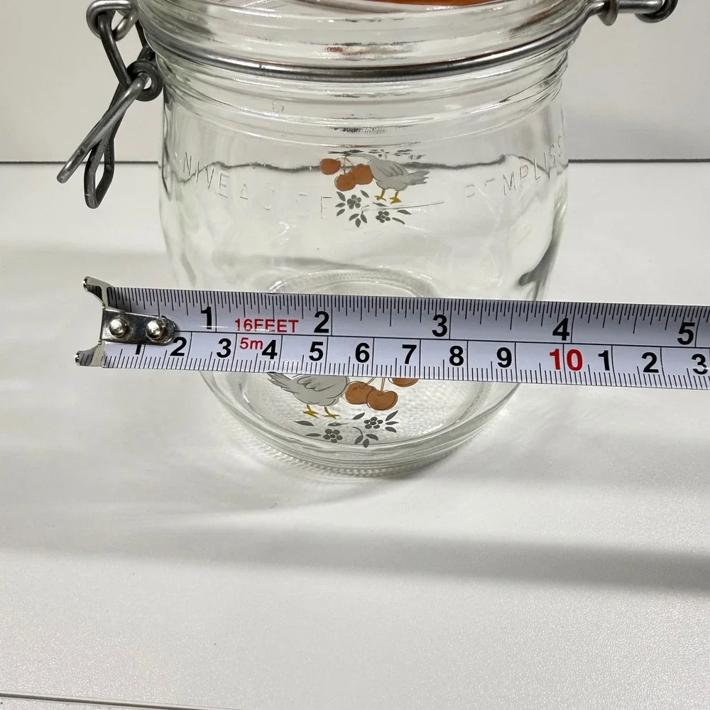 Vintage 80s Arc France GOOSE & CHERRIES Glass Canister 3/4L Wire Bail Jar NICE